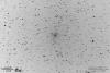 Komet 41P am 14.02.2017 in einer Inversdarstellung - ein kleiner Schweifansatz ist erkennbar