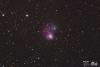 NGC 1931, Ausschnitt 60%